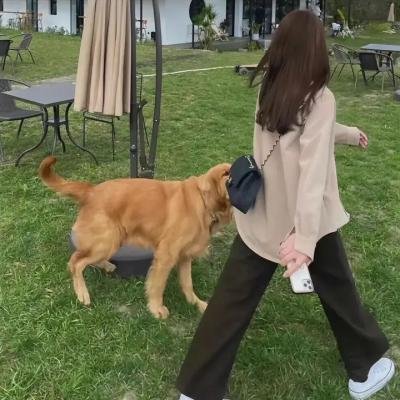 心生爱慕却迟迟不敢