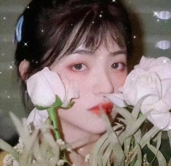 罗马夜禁色